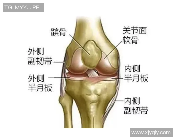 罗斯半月板撕裂的原因与康复方案解析运动员如何有效应对这一伤病