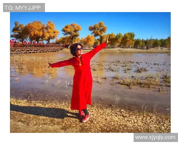 荷兰三棍客的传奇故事与不朽精神在历史长河中的启示与反思